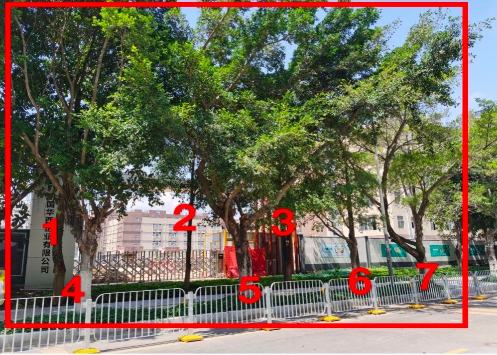 天天体育（中国）有限公司关于实益达锦龙厂区2号厂房项目迁移城市树木事宜的公示